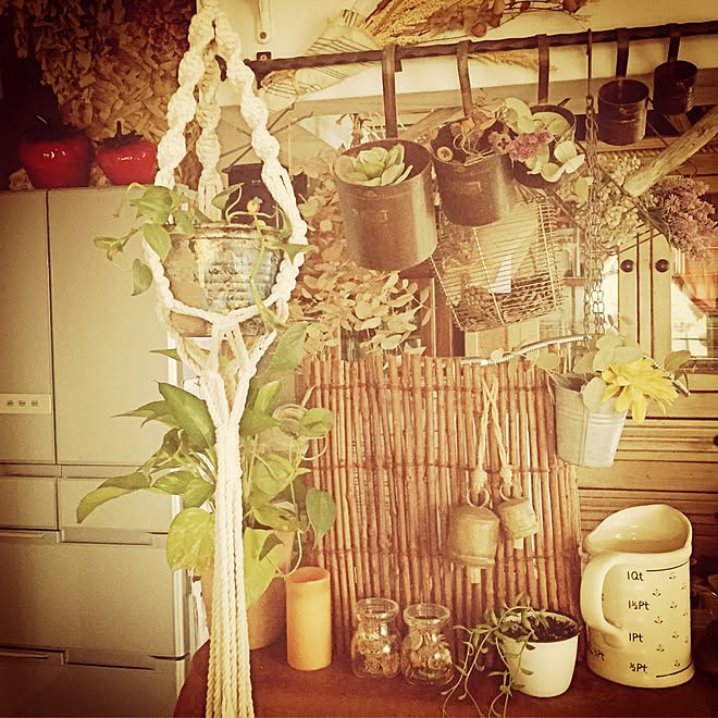 キッチン/中古住宅/雑貨/観葉植物/DIY...などのインテリア実例 - 2015-07-07 07:51:07