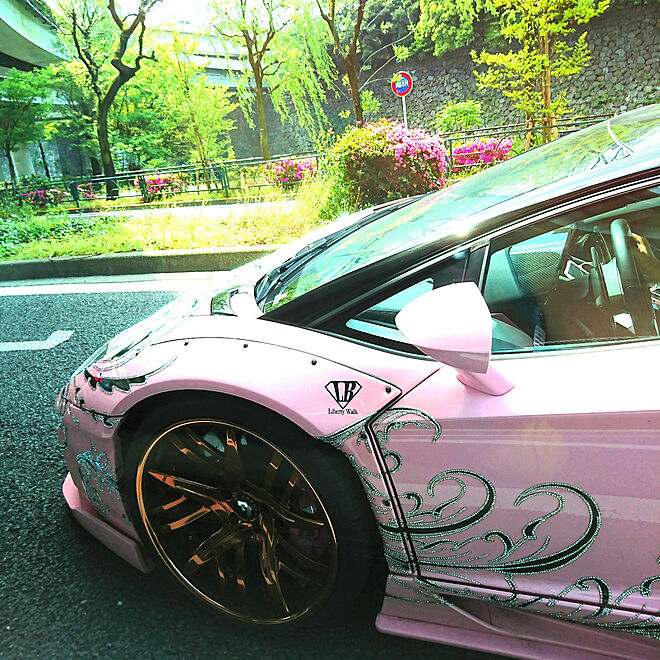 部屋全体 スーパーカー ピンクの車 ランボルギーニ キラキラど派手の外車のインテリア実例 18 04 19 13 05 47 Roomclip ルームクリップ