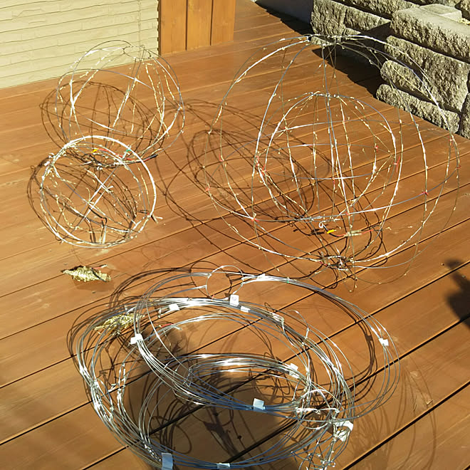 びっくりした 処理 ライフル 針金 イルミネーション 誇りに思う 詳細に 請求