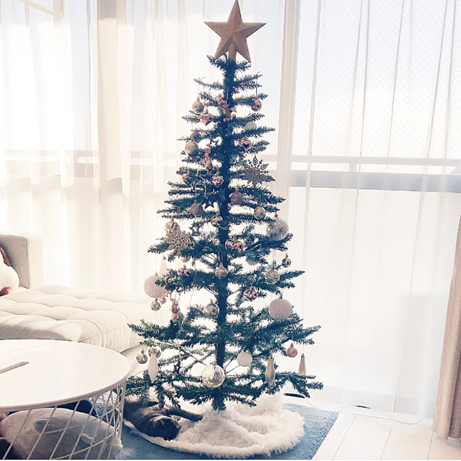 クリスマス スヌーピー ねこと暮らす 猫のいる暮らし クリスマスツリー などのインテリア実例 21 12 24 09 09 51 Roomclip ルームクリップ クリスマス スヌーピー ねこと暮らす 猫のいる暮らし クリスマスツリー などのインテリア実例 21 12 24 09 09 51 Roomclip ルームクリップ