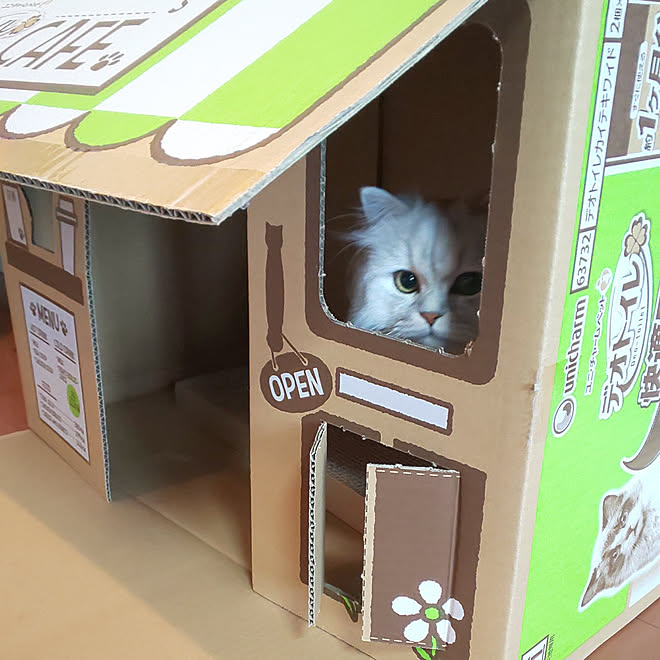 リビング ユニ チャームデオトイレ デオトイの空き箱カフェ 爪研ぎ入れました 銀太です のインテリア実例 19 06 15 12 52 09 Roomclip ルームクリップ