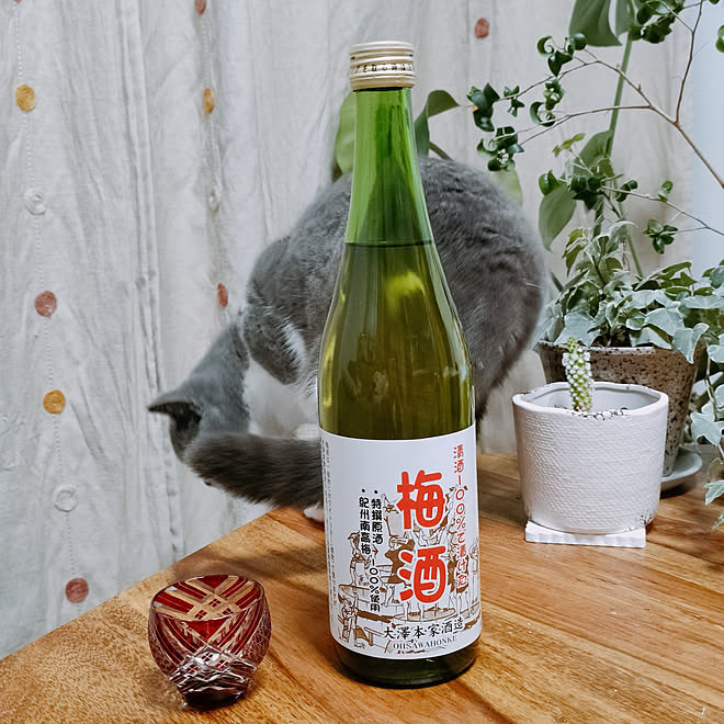 リビング お酒を楽しむ ねこのいる日常 梅酒 好きな器のある暮らしのインテリア実例 22 03 07 22 42 47 Roomclip ルームクリップ