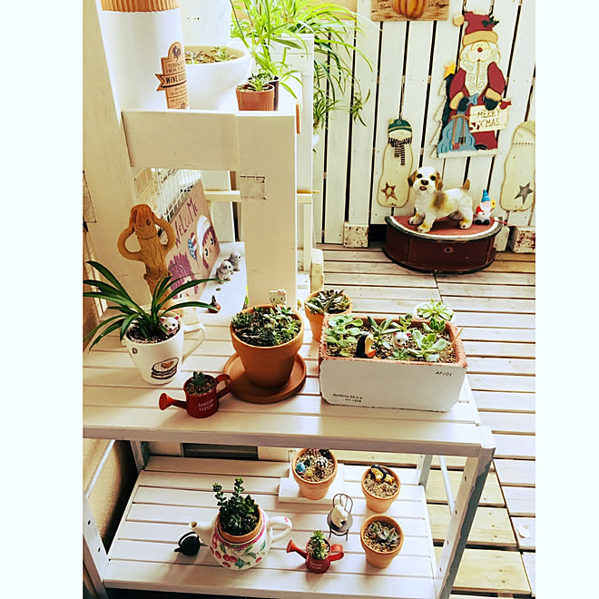 木が好き/棚/観葉植物/多肉植物/ハンドメイド...などのインテリア実例 - 2019-07-04 14:22:34