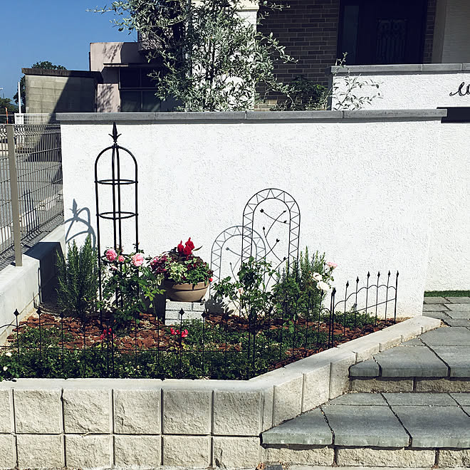 バラ初心者 バラが好き バラのある庭 バラ大好き 花壇のバラ などのインテリア実例 19 10 16 17 13 01 Roomclip ルームクリップ