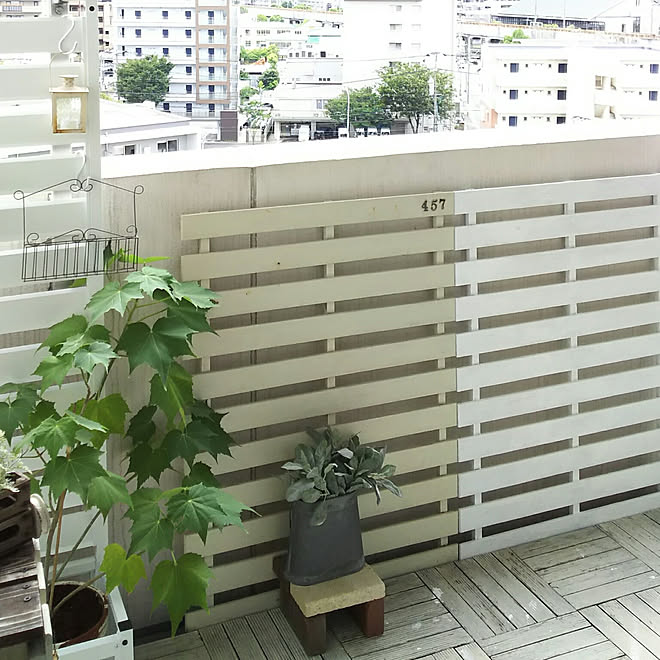アルミプランターフェンス 南側ベランダ マンション 隠すガーデン家具 芙蓉 などのインテリア実例 18 07 30 15 49 Roomclip ルームクリップ アルミプランターフェンス 南側ベランダ マンション 隠すガーデン家具 芙蓉 などのインテリア実例 18 07 30 15 49 Roomclip ルームクリップ