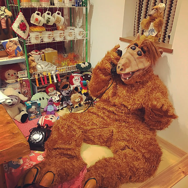 部屋全体 小上がり 着ぐるみ アルフ アメリカン などのインテリア実例 18 03 10 07 51 22 Roomclip ルームクリップ