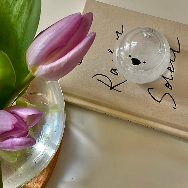 可愛い チューリップ ニトリカッティングボード ニトリの花瓶 ストームグラスのある暮らし などのインテリア実例 22 02 24 09 49 45 Roomclip ルームクリップ