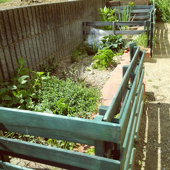 ガーデニング 家庭菜園 すのこ ラベンダー ミント などのインテリア実例 16 04 26 13 36 46 Roomclip ルームクリップ