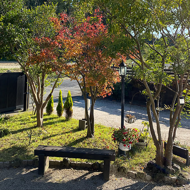 もみじ紅葉 隣接する家なし 日本家屋 広縁のある家 玄関 入り口 などのインテリア実例 11 13 16 59 46 Roomclip ルームクリップ