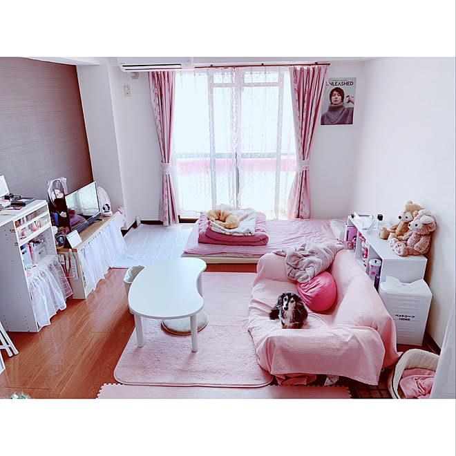 桜色 ピンクインテリア ワンルーム 犬のいる暮らし 狭い部屋 などのインテリア実例 19 04 08 12 00 18 Roomclip ルームクリップ 桜色 ピンクインテリア ワンルーム 犬のいる暮らし 狭い部屋 などのインテリア実例 19 04 08 12 00 18 Roomclip ルームクリップ