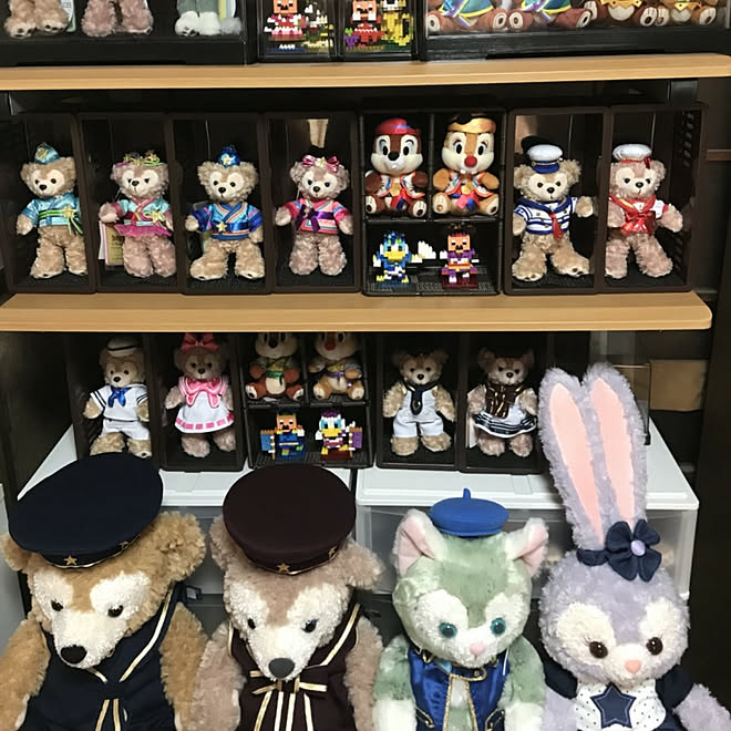 棚 ナノブロック ステラルー ダッフィー シェリーメイ などのインテリア実例 18 06 09 14 58 55 Roomclip ルームクリップ