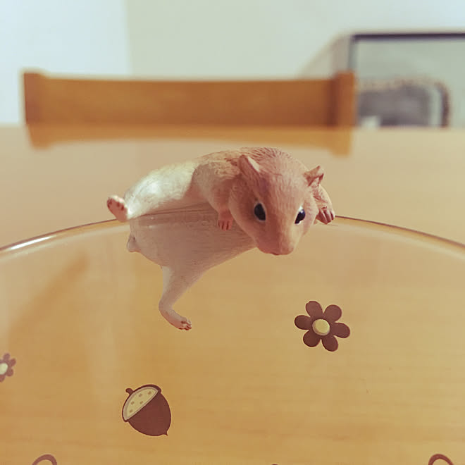 リビング コップのふち ハムスターグッズ ハムスターのガチャポン 雑貨のインテリア実例 17 07 22 08 48 44 Roomclip ルームクリップ リビング コップのふち ハムスターグッズ ハムスターのガチャポン 雑貨のインテリア実例 17 07 22 08 48 44 Roomclip ルームクリップ