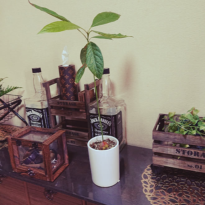 机 ダイソー 観葉植物 100均 Diy などのインテリア実例 21 07 27 18 13 32 Roomclip ルームクリップ 机 ダイソー 観葉植物 100均 Diy などのインテリア実例 21 07 27 18 13 32 Roomclip ルームクリップ