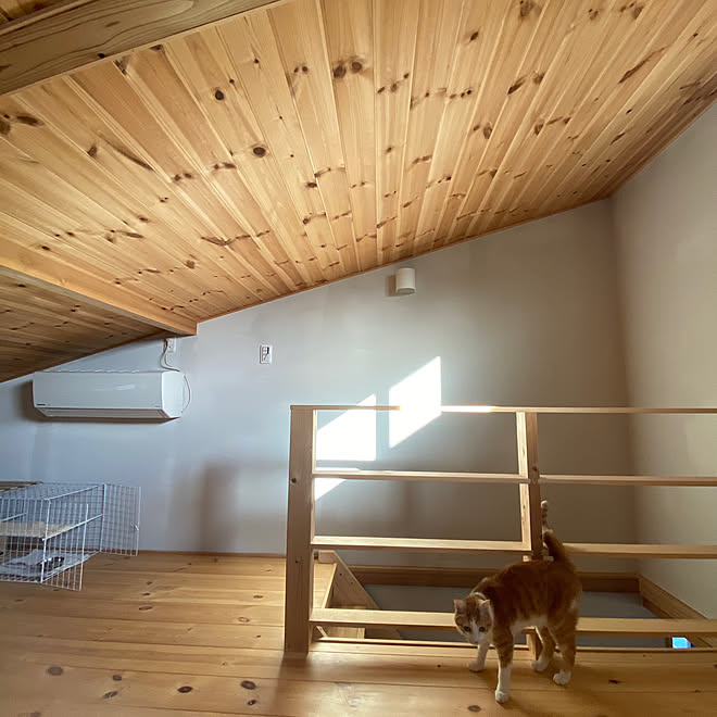ロフトのある部屋 屋根裏部屋のある家 ロフト寝室 屋根裏寝室 猫と暮らす などのインテリア実例 22 02 16 16 00 42 Roomclip ルームクリップ