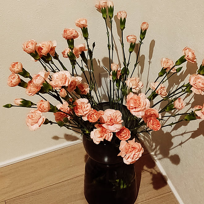 玄関 入り口 花のある暮らし 花瓶 Ikea カーネーションのインテリア実例 03 16 21 37 42 Roomclip ルームクリップ 玄関 入り口 花のある暮らし 花瓶 Ikea カーネーションのインテリア実例 03 16 21 37 42 Roomclip ルームクリップ