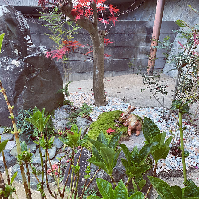 お庭改造中 紫陽花 うさぎの置物 庭石 お庭のある暮らし などのインテリア実例 12 03 17 46 58 Roomclip ルームクリップ