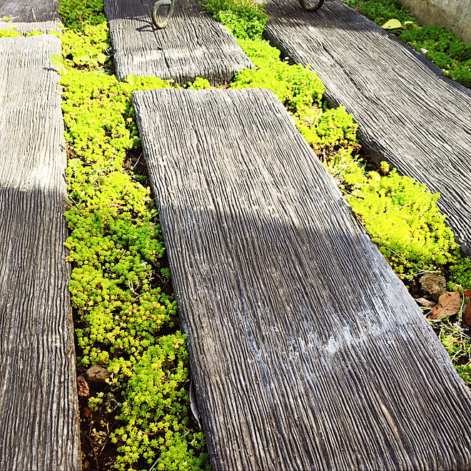 セダム グランドカバー 枕木風コンクリート 枕木 ガーデニング などのインテリア実例 05 12 07 44 47 Roomclip ルームクリップ セダム グランドカバー 枕木風コンクリート 枕木 ガーデニング などのインテリア実例 05 12 07 44 47 Roomclip ルームクリップ