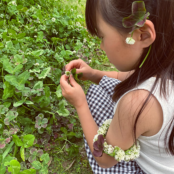 草花遊び クロバツメクサ シロツメクサ 花のある暮らし こどものいる暮らし などのインテリア実例 05 11 09 38 02 Roomclip ルームクリップ