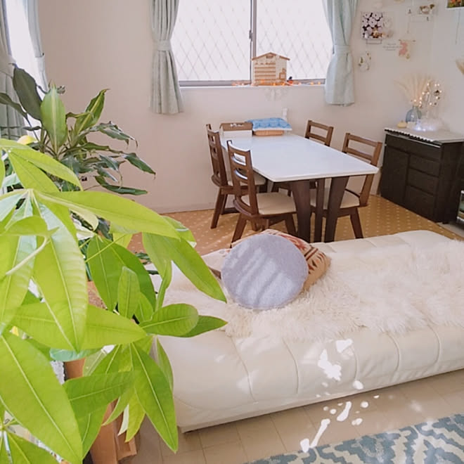 部屋全体 ソファベッド ニトリ コストコのムートン Rcお友達の作品 などのインテリア実例 10 24 12 52 29 Roomclip ルームクリップ 部屋全体 ソファベッド ニトリ コストコのムートン Rcお友達の作品 などのインテリア実例 10 24 12 52 29 Roomclip ルームクリップ
