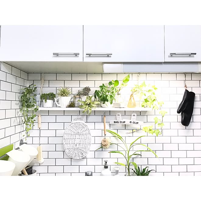 キッチン Zoo会 フェイクグリーン Diy 植物を飾る などのインテリア実例 17 01 12 08 45 11 Roomclip ルームクリップ