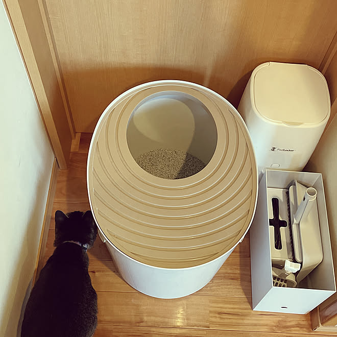 ホウキとちりとり 猫砂掃除 セリア 無印良品 猫トイレ などのインテリア実例 22 05 27 06 17 35 Roomclip ルームクリップ