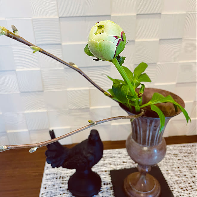 花のある暮らし Francfranc 花瓶 エコカラット フランフラン などのインテリア実例 22 04 13 22 29 06 Roomclip ルームクリップ