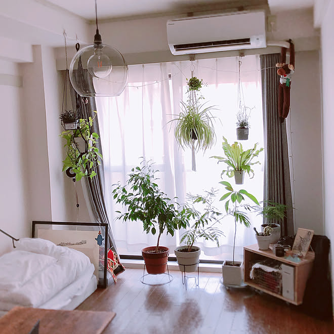 観葉植物/観葉植物のある部屋/マクラメプラントハンガー/ミックスインテリア/IKEA&hellip;などのインテリア実例 20190527 09