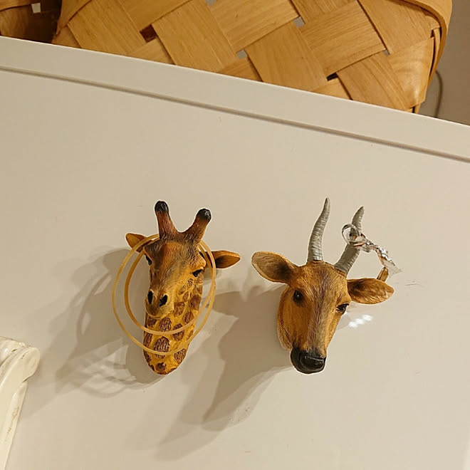 100均 ダイソー アニマル Daiso 冷蔵庫 などのインテリア実例 21 04 09 16 48 04 Roomclip ルームクリップ