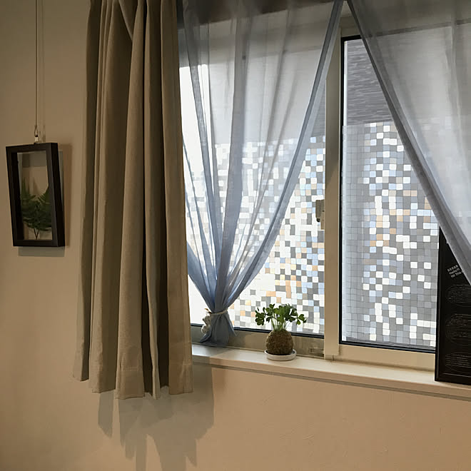 びっくりカーテンのレースカーテン ニトリカーテン ガラスシート 心地よい暮らしのインテリア実例 21 05 22 17 37 40 Roomclip ルームクリップ