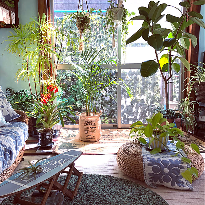 観葉植物 キャンドゥ アジアン雑貨 観葉植物 南国リゾート などのインテリア実例 03 16 13 59 51 Roomclip ルームクリップ 観葉植物 キャンドゥ アジアン雑貨 観葉植物 南国リゾート などのインテリア実例 03 16 13 59 51 Roomclip ルームクリップ