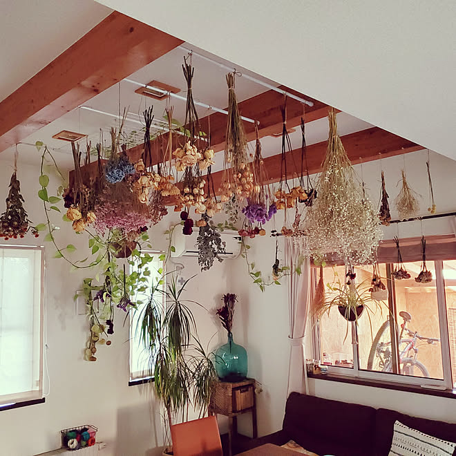 壁 天井 100均 観葉植物 ドライフラワーのインテリア実例 08 14 21 45 02 Roomclip ルームクリップ