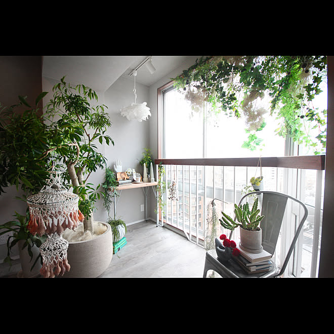 部屋全体/サンルーム/グリーンのある暮らし/マンションリノベーション/インテリアコーディネート...などのインテリア実例 - 2019-11-15 11:28:48