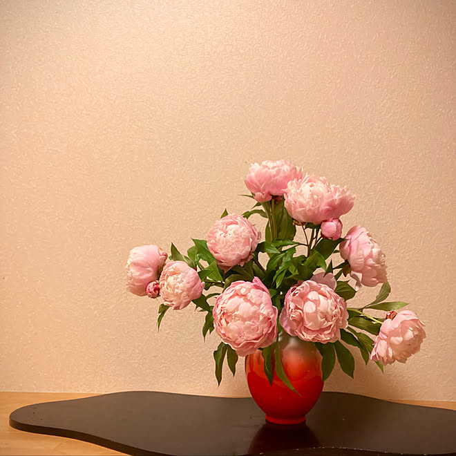 芍薬 平屋暮らし 生け花 花瓶 花器 などのインテリア実例 22 05 11 10 57 Roomclip ルームクリップ