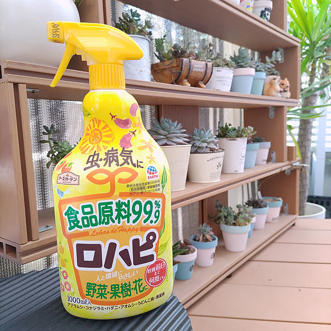 玄関 入り口 ガーデニング 植物のある暮らし 害虫対策 アースガーデン などのインテリア実例 21 05 06 11 34 43 Roomclip ルームクリップ