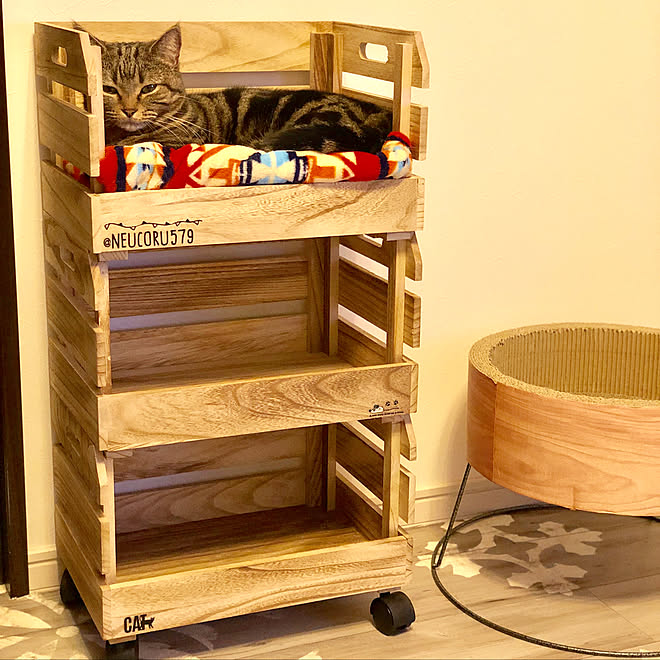 リビング 猫ベッド スタッキングボックス いいね いつもありがとうございます セリア などのインテリア実例 19 01 06 18 55 46 Roomclip ルームクリップ