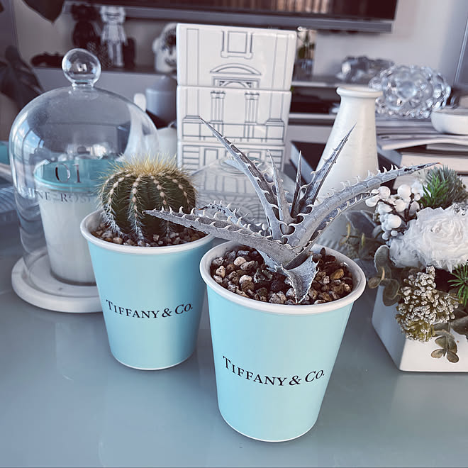 多肉植物 サボテン 趣味部屋 アート 現代アート などのインテリア実例 21 09 18 16 14 25 Roomclip ルームクリップ