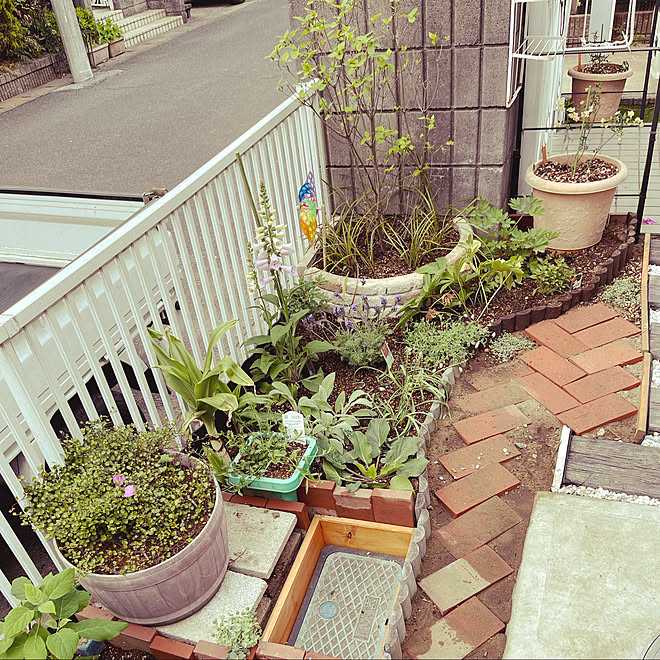 Diy 多肉植物 ガーデニング 庭 玄関 入り口のインテリア実例 21 05 04 08 41 55 Roomclip ルームクリップ