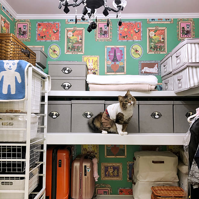 ウォークインクローゼット ナタリーレテ 壁紙 Roomclip Mag 掲載 くれむ などのインテリア実例 01 06 19 41 31 Roomclip ルームクリップ