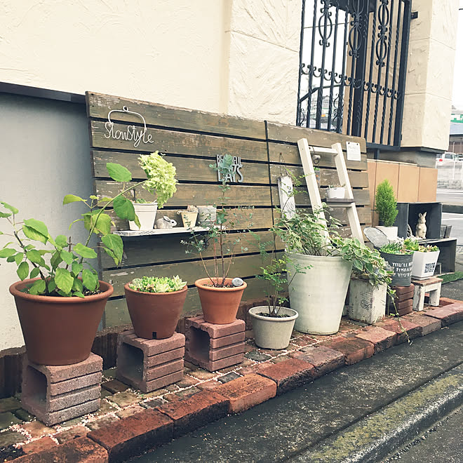 ユーカリグニー シマトネリコ 多肉寄せ植え りんご箱 ラダー などのインテリア実例 07 09 17 14 21 Roomclip ルームクリップ ユーカリグニー シマトネリコ 多肉寄せ植え りんご箱 ラダー などのインテリア実例 07 09 17 14 21 Roomclip ルームクリップ