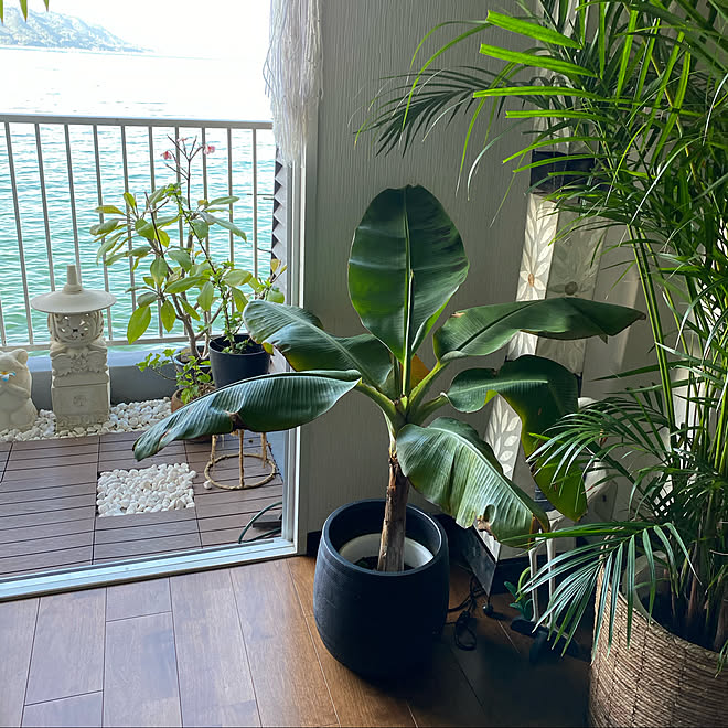 バナナの木 ホテルライク バリ雑貨 リゾートライク 石像 などのインテリア実例 10 04 17 06 55 Roomclip ルームクリップ