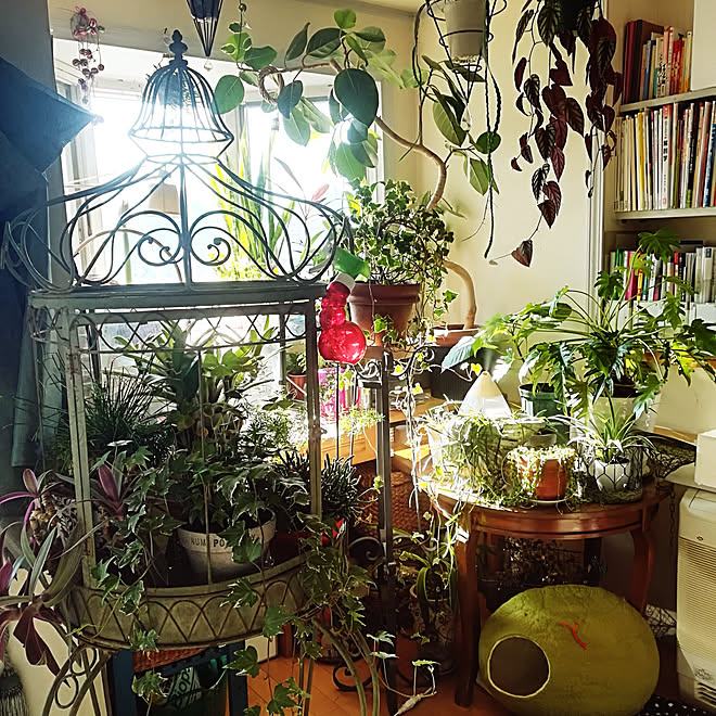 部屋全体 外国インテリア ごちゃごちゃ 多国籍インテリア カラフルな部屋 などのインテリア実例 03 18 18 04 47 Roomclip ルームクリップ