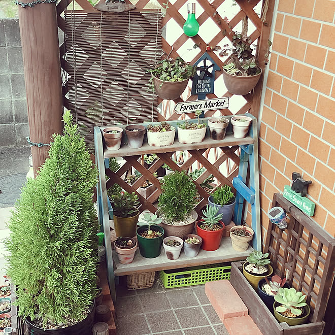 ヴィンテージ/北欧/観葉植物/多肉植物/オシャレ...などのインテリア実例 - 2019-11-21 02:38:19