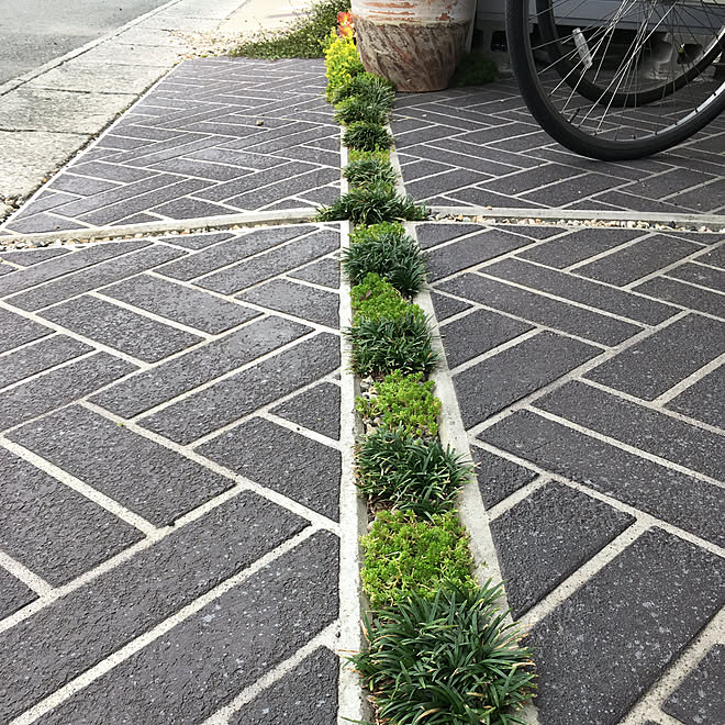 駐車場 龍のヒゲ グレー 隙間植物 コンクリートペイント などのインテリア実例 19 06 28 16 34 21 Roomclip ルームクリップ