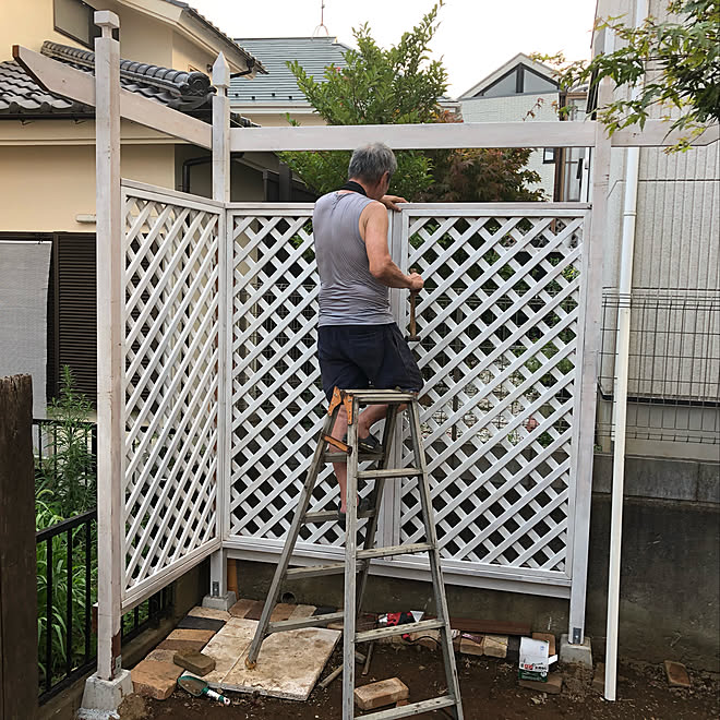 パーゴラ ラティスフェンス 庭つくり中 にわdiy Diy などのインテリア実例 19 08 01 22 46 54 Roomclip ルームクリップ
