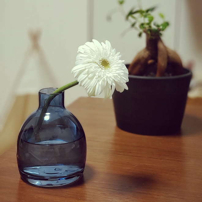 机 実家暮らし 花瓶 3coins ガーベラ などのインテリア実例 21 06 03 00 07 49 Roomclip ルームクリップ 机 実家暮らし 花瓶 3coins ガーベラ などのインテリア実例 21 06 03 00 07 49 Roomclip ルームクリップ
