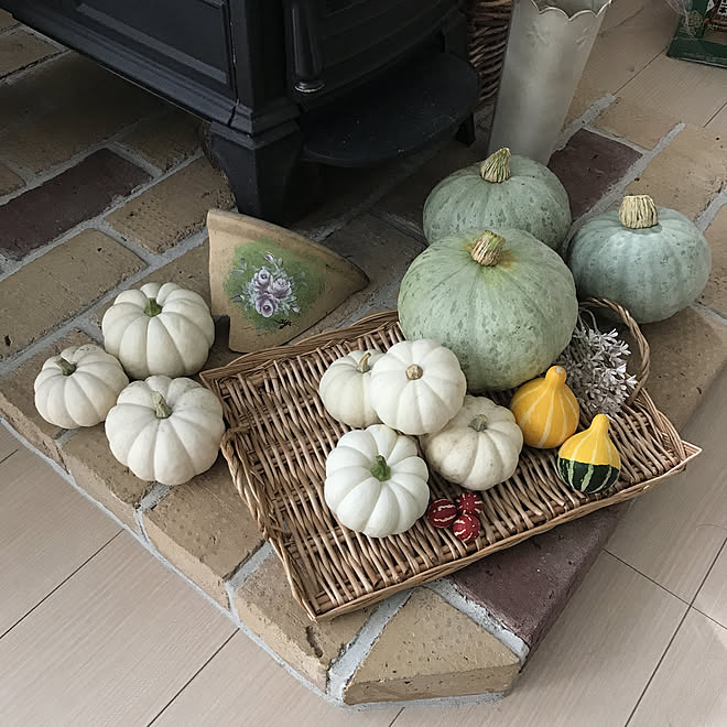 種から育てた白いかぼちゃ 見てくださってありがとうございます 植物のある暮らし 白いかぼちゃ いいね フォローありがとうございます などのインテリア実例 21 08 31 15 53 59 Roomclip ルームクリップ