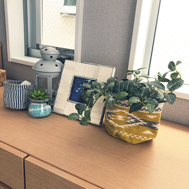 フォトフレーム 鉢カバー Ikea フラワーベース セリア などのインテリア実例 21 10 31 13 18 59 Roomclip ルームクリップ