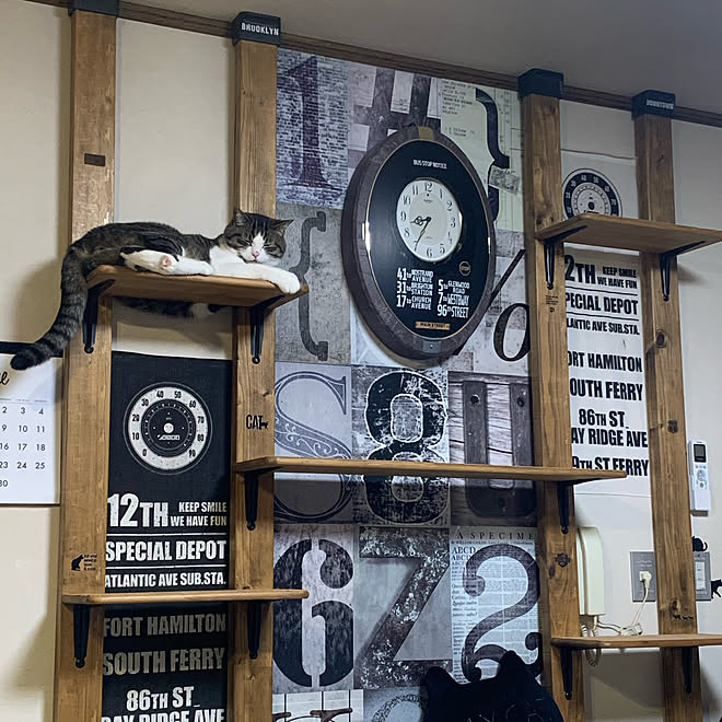 愛猫くうたん キャットステップ キャットウォーク 猫スペース ディアウォール などのインテリア実例 04 14 22 03 30 Roomclip ルームクリップ 愛猫くうたん キャットステップ キャットウォーク 猫スペース ディアウォール などのインテリア実例 04 14 22 03 30 Roomclip ルームクリップ