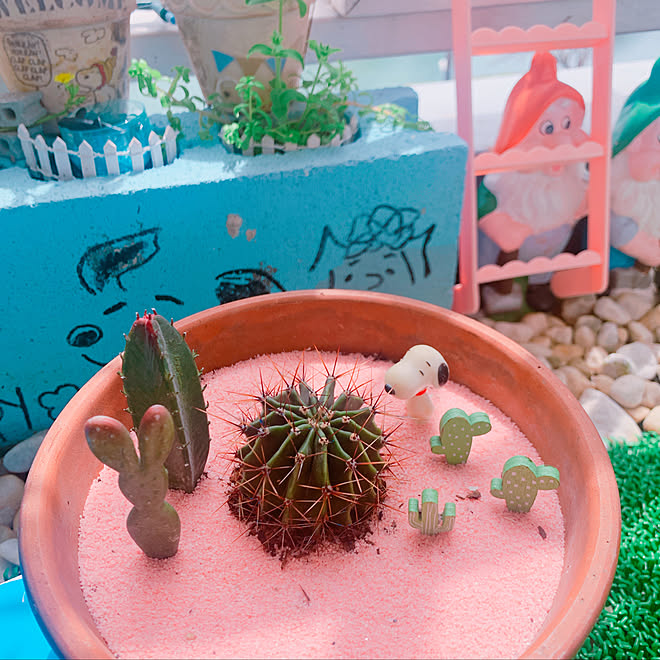 サボテン サボテン スヌーピー スヌーピー 植物のある暮らしのインテリア実例 21 03 30 12 55 47 Roomclip ルームクリップ