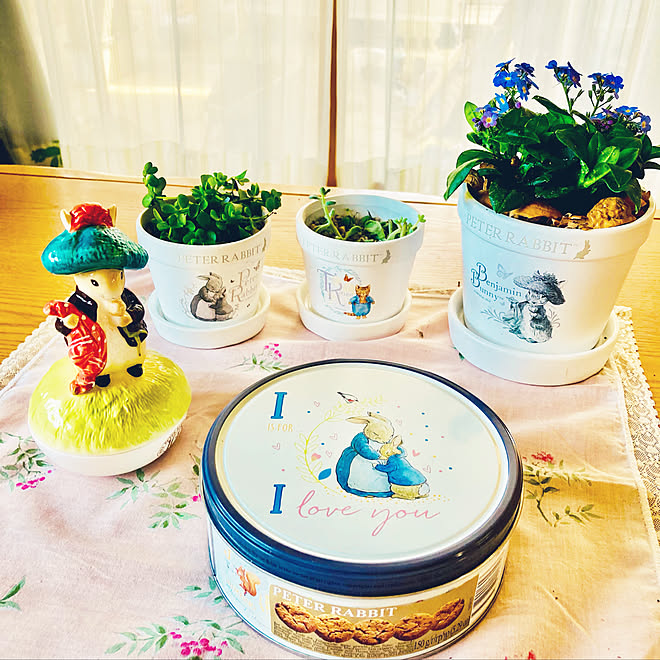 わすれな草の鉢にくるカラ マルチング オルゴールはオフハウスでゲット カルディのチョコチップクッキー缶 多肉とわすれな草 白いピーターラビット鉢 3個 などのインテリア実例 21 03 10 14 08 33 Roomclip ルームクリップ わすれな草の鉢にくるカラ マルチング オルゴールはオフハウスでゲット カルディのチョコチップクッキー缶 多肉とわすれな草 白いピーターラビット鉢 3個 などのインテリア実例 21 03 10 14 08 33 Roomclip ルームクリップ